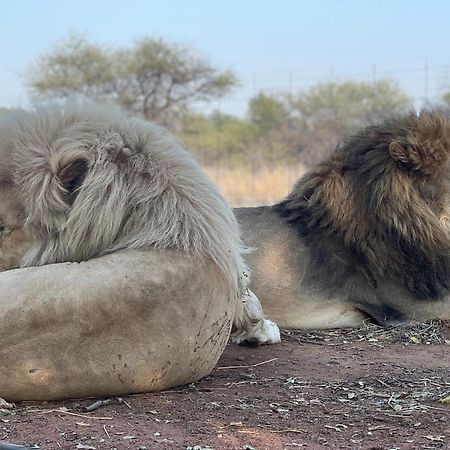 Simba Safaris African Pride Exotic Lodge Lephalale Extérieur photo