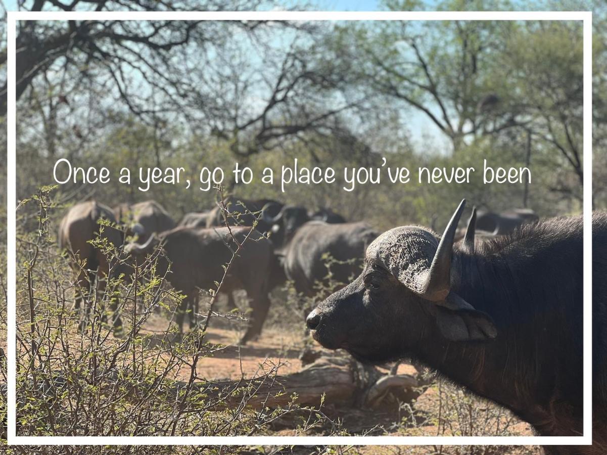 Simba Safaris African Pride Exotic Lodge Lephalale Extérieur photo
