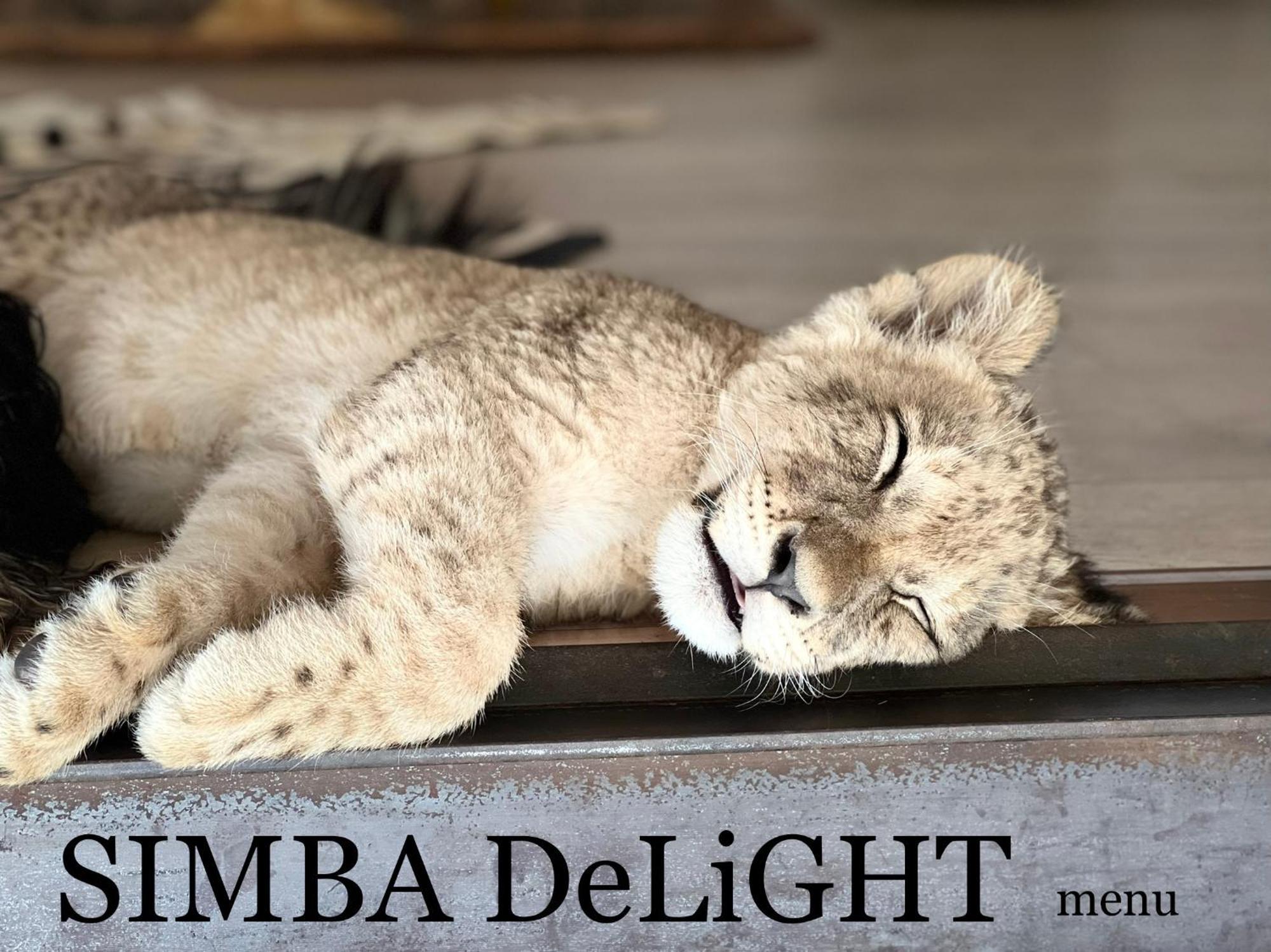 Simba Safaris African Pride Exotic Lodge Lephalale Extérieur photo