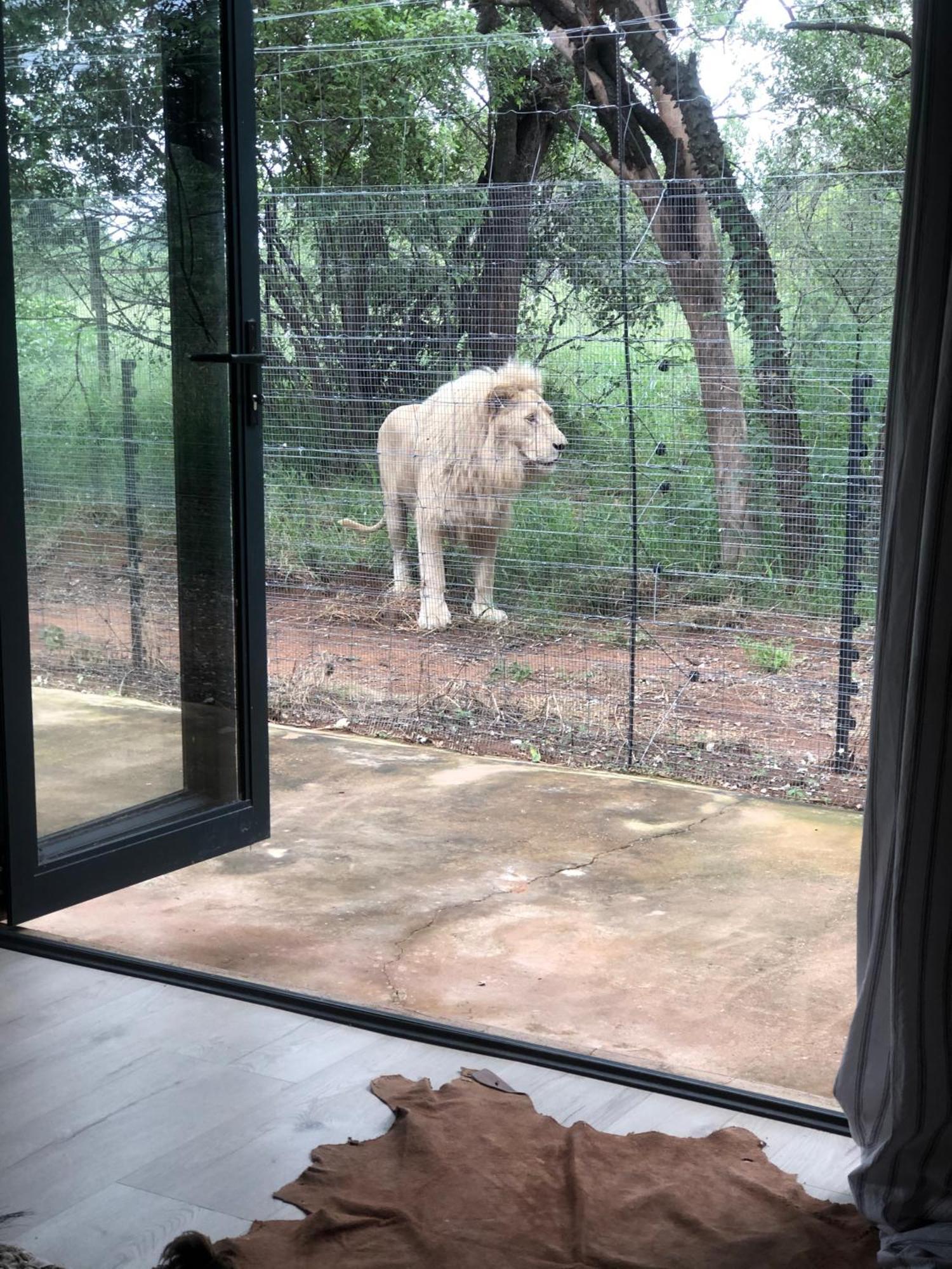 Simba Safaris African Pride Exotic Lodge Lephalale Extérieur photo