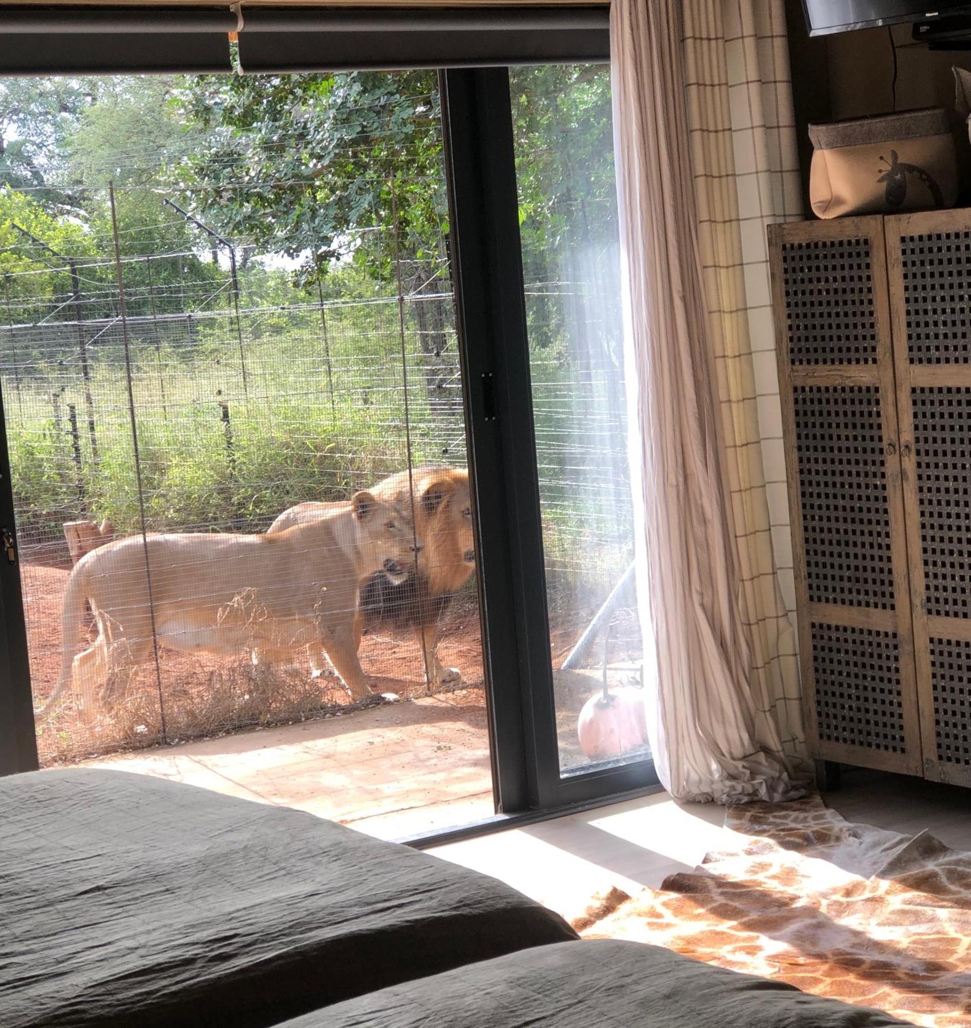 Simba Safaris African Pride Exotic Lodge Lephalale Extérieur photo