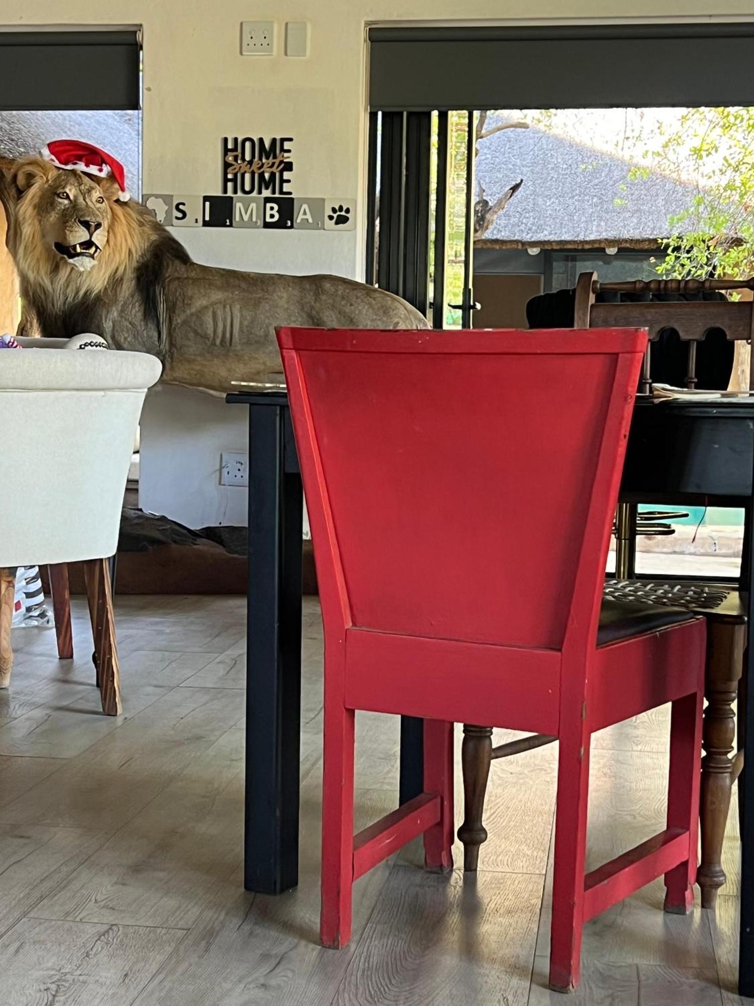 Simba Safaris African Pride Exotic Lodge Lephalale Extérieur photo