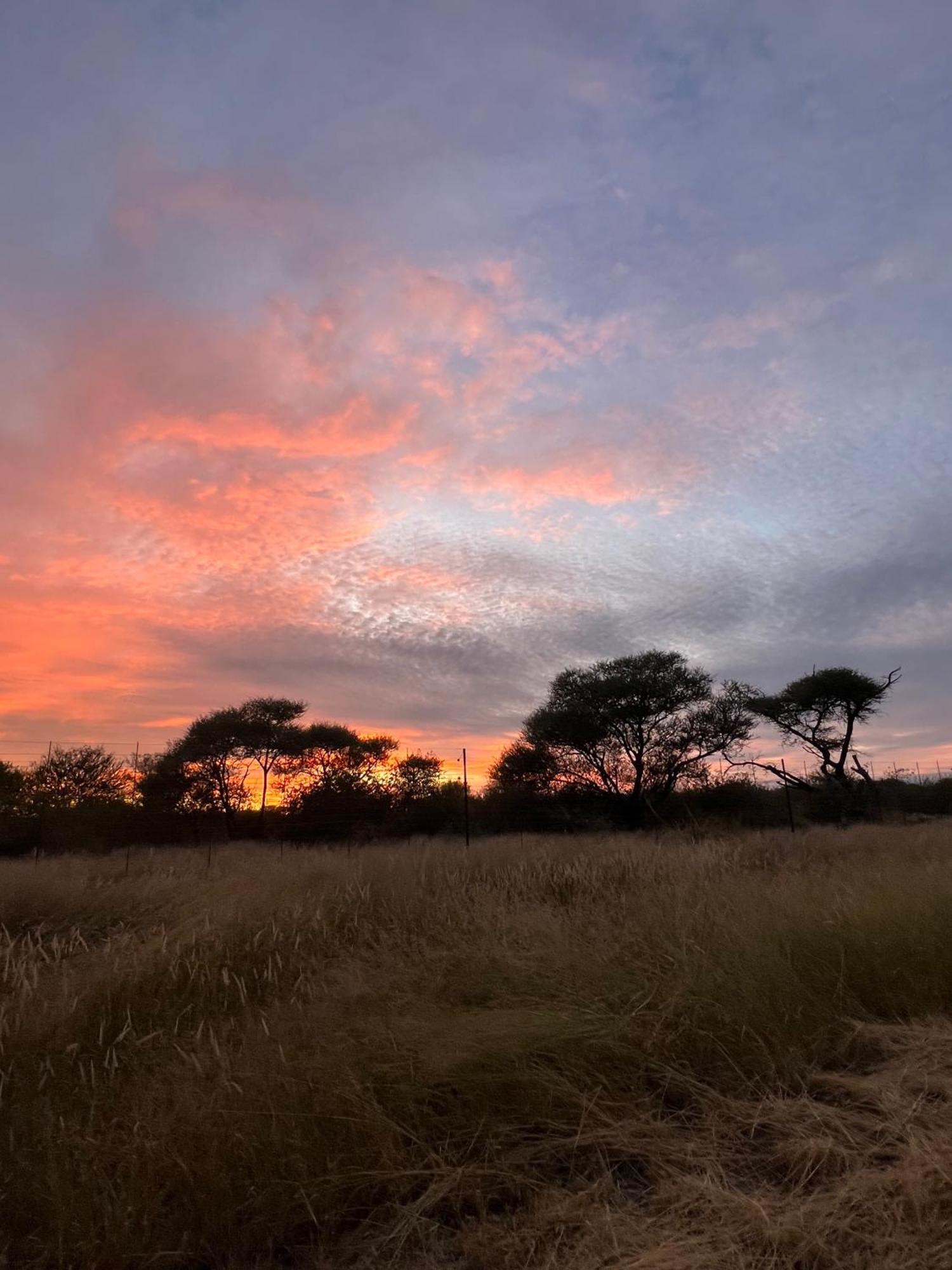 Simba Safaris African Pride Exotic Lodge Lephalale Extérieur photo